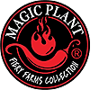 Magic Plant